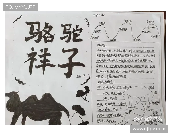 追忆绿茵传奇足球明星的小卡片情怀与故事分享