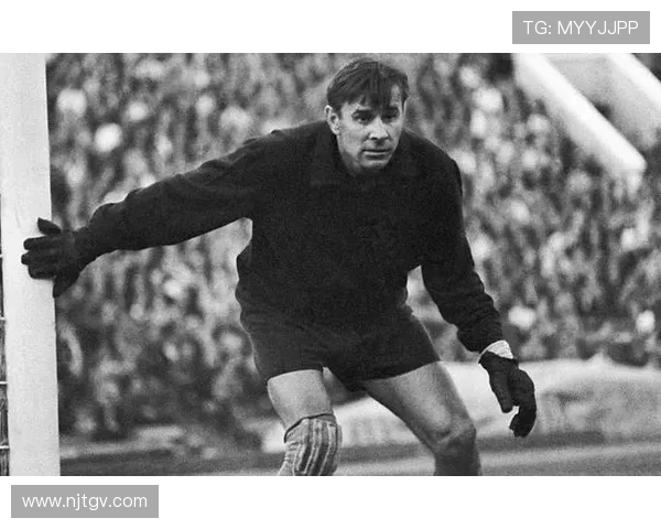 足球迷心目中的足球明星究竟是谁他们为何如此热爱他